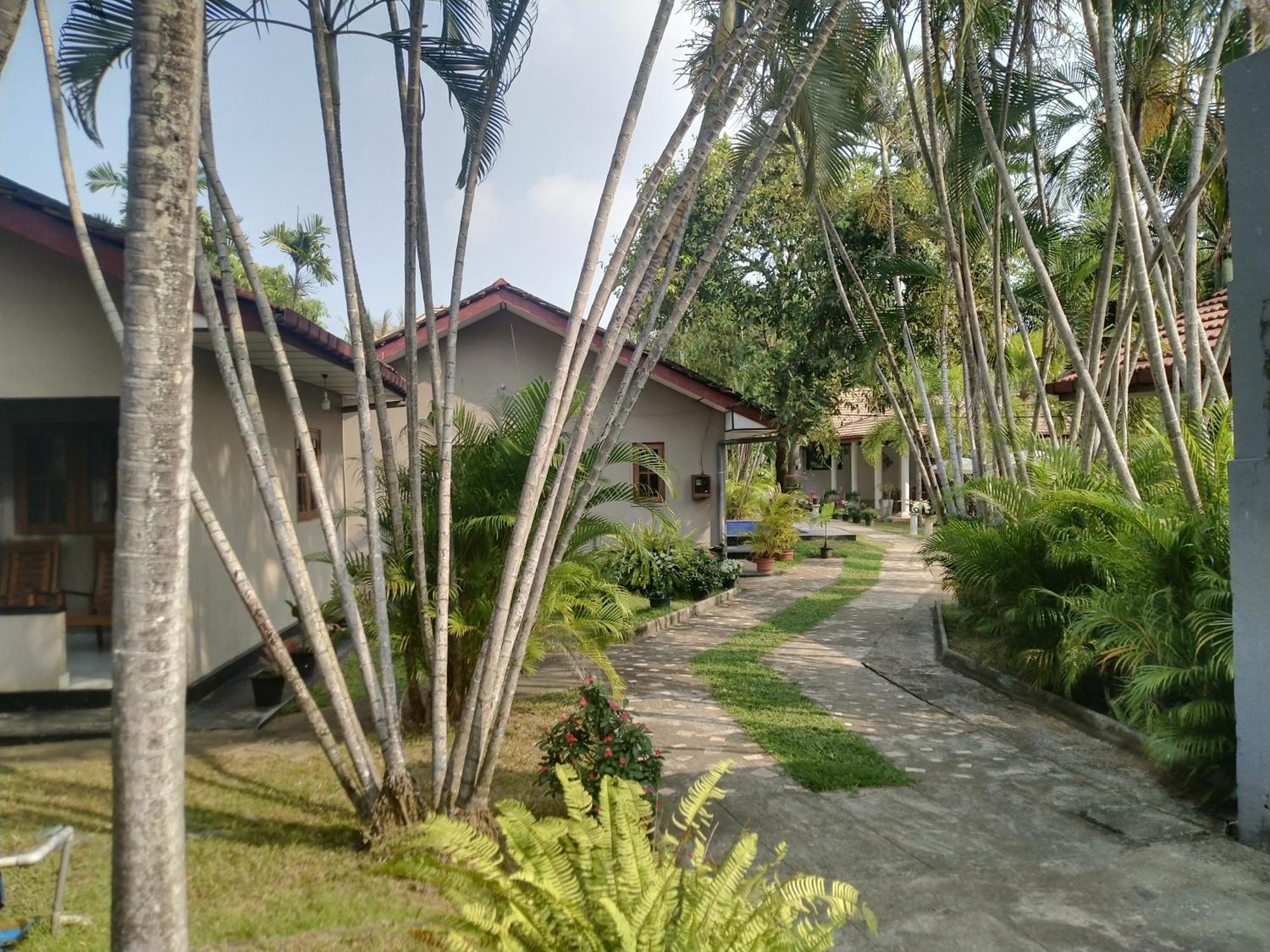 Blue Bell Hotel Negombo Kültér fotó