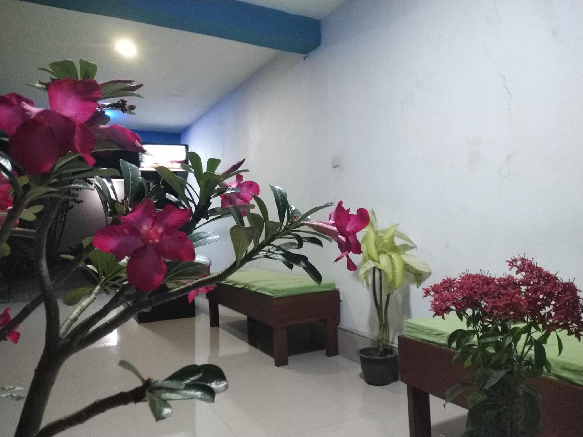 Blue Bell Hotel Negombo Kültér fotó